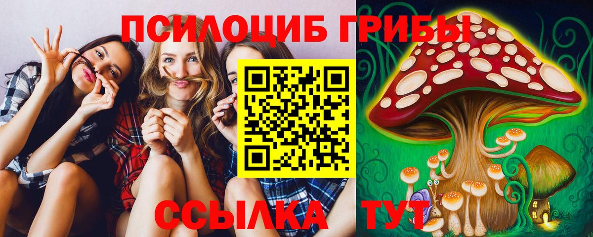Саров  Псилоцибиновые грибы Psilocybe  Вход с VPN 