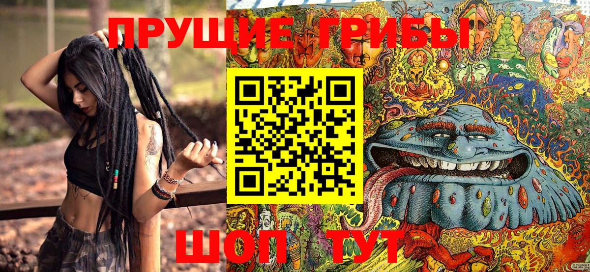 Псилоцибиновые грибы Cubensis Саров